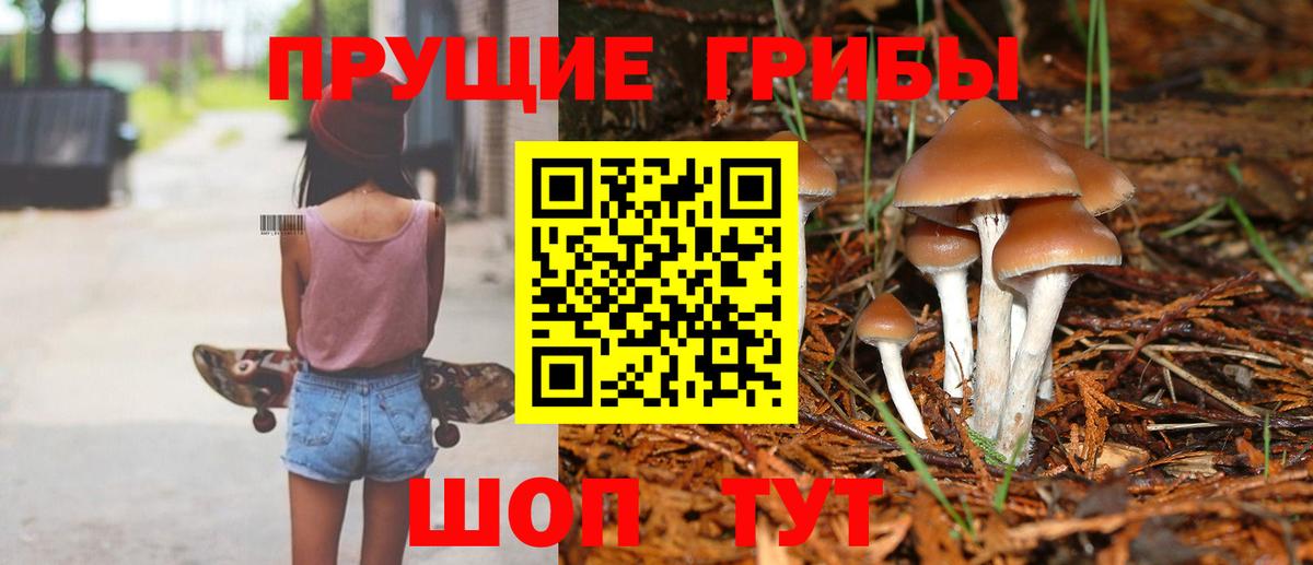 Сатка  Псилоцибиновые грибы мухоморы  Вход с VPN  Галлюциногенные грибы MAGIC MUSHROOMS 